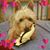 Connie Tolsma-Bisby's profile image