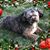 Cynthia Rodriguez's profile image
