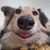 Monica Thomson's profile image
