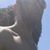 Alfred James Lape Jr.'s profile image