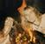 Dave Bacon Laetare's profile image