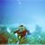 Haidang D. Nguyen's profile image