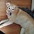 Kate Belanger's profile image