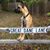 Lynn Turley Bruch's profile image