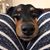 Karen Laniewski's profile image