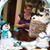 Stephanie Slipher's profile image
