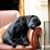Mark Muylaert's profile image