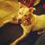 J.t. Bissell's profile image