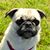 Anita Harbecke's profile image