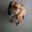 Paula Blomquist's profile image