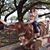Cindy Hyatt's profile image