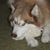 Joanne Rose's profile image