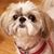 Sheryl Burdman's profile image