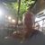 Barbara Roesener Thornton's profile image