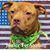 Heather Inman's profile image