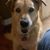 Betty Teague Flohr's profile image