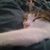 Joanne Branen Levy's profile image