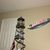 Debra Williamson's profile image