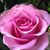 Wendy Ohst's profile image