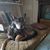 Joan Sottile Hawkins's profile image