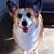 Sue Huebel-Welch's profile image