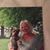 Gail Freeman's profile image