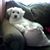 Donna Thomas's profile image