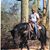 Richard Blk-Out Thorpe's profile image