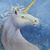 Katherine Bielec Stevenson's profile image