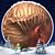 Ken Johnson's profile image
