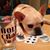 Scott Lantz's profile image