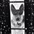 Lisa Northup's profile image