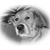 Sam Castledine's profile image