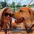 Victoria Rinefierd's profile image