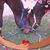 Dawn Junck Galston's profile image