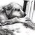 Noreen Rosenbaum Blair's profile image