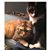 Jane Barker's profile image