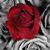 Natilee Franco's profile image