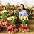 Louella Marie Alsaen Cabinta's profile image