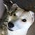 Barbara Brooks's profile image