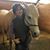Marilyn Fulton's profile image