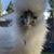 Pam Witte's profile image