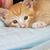 Kathy Godfrey's profile image