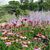 Carol Schaab's profile image