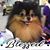 Amybeth Perry's profile image