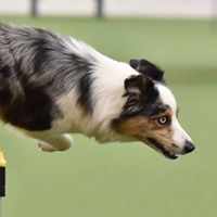 Karen Selbert's profile image