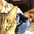 Aimee Alven's profile image