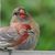 Robin French Smith's profile image