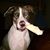 Paula Thompson's profile image
