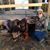 Myra Powell's profile image
